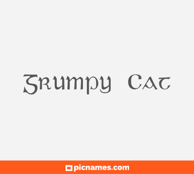 Grumpy Cat